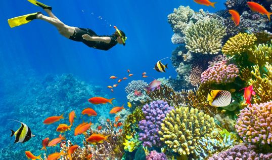 ЕКСКЛУЗИВНИ ОТСТЪПКИ - Почивка в Шарм ел Шейх, Египет със самолет от София - 7 нощувки